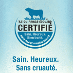 isaland boeuf